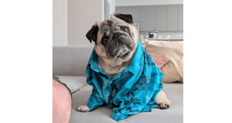 article content image