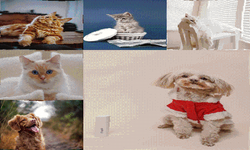 Captcha qdhk-R8u-default.png