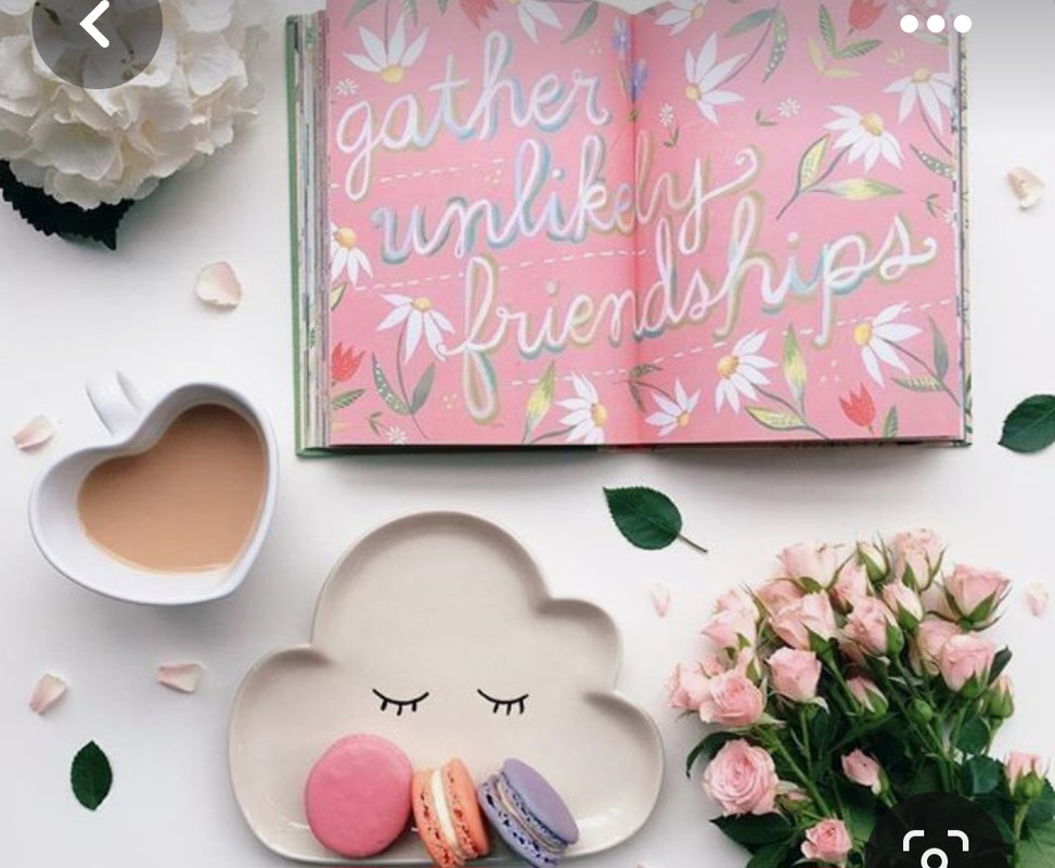 Screenshot_20230219_231158_Pinterest