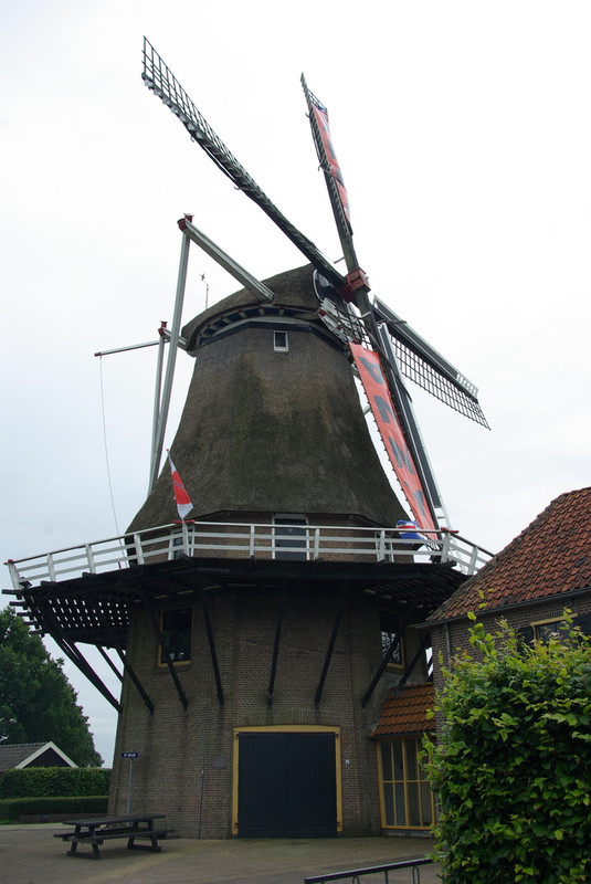 (01256) De Zwaluw - Hasselt 3