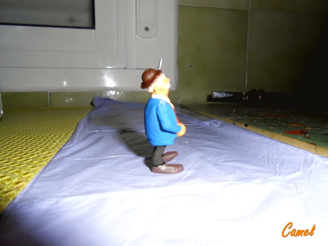 DSCN6169