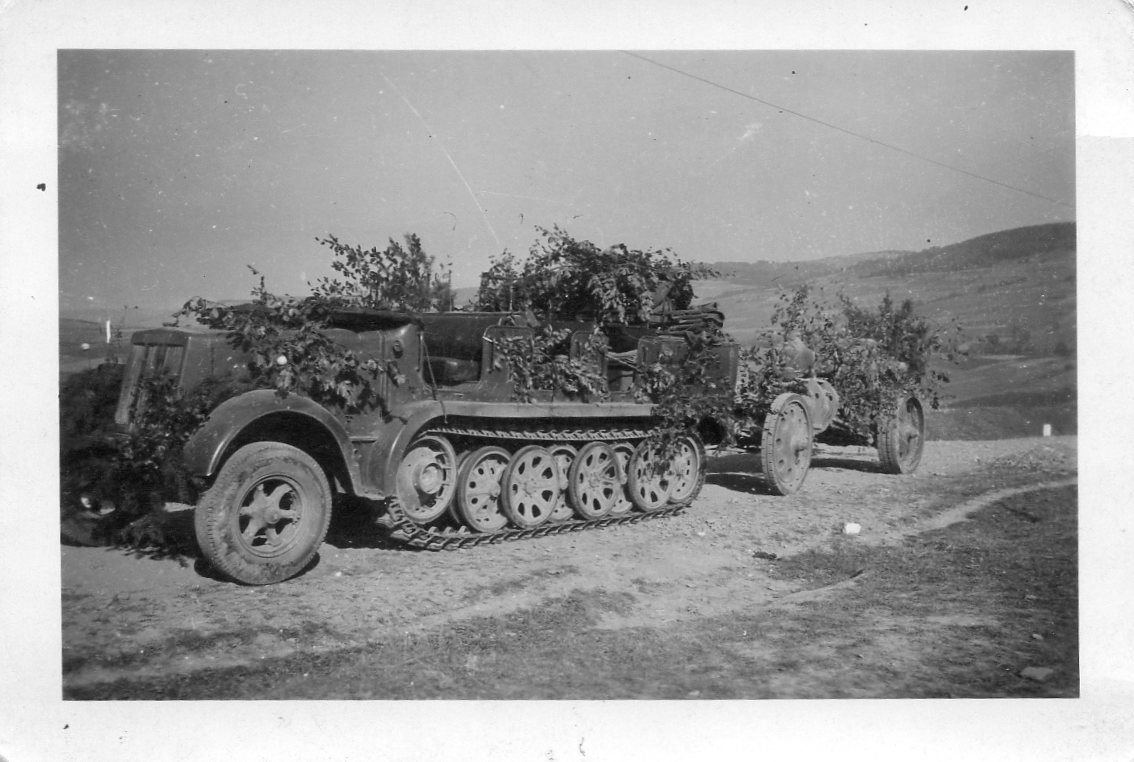 Gebirgsjäger Regiment 98  1. Gebirgs Div. Frankr