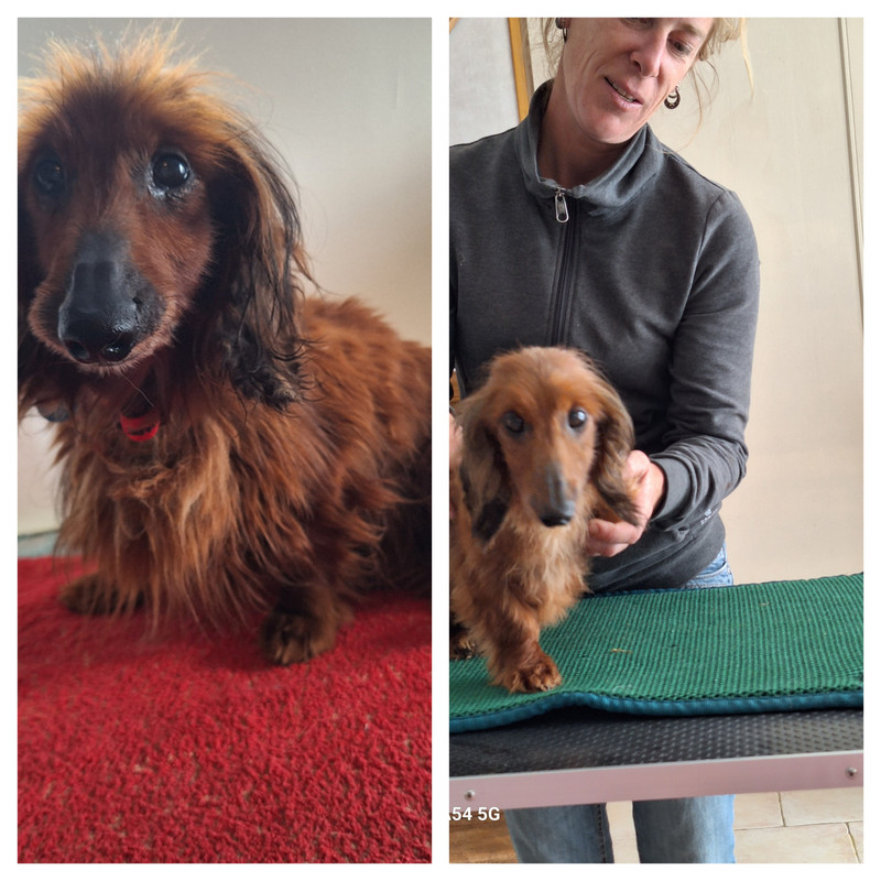 [Image: In-Collage-20240702-215008401.jpg]