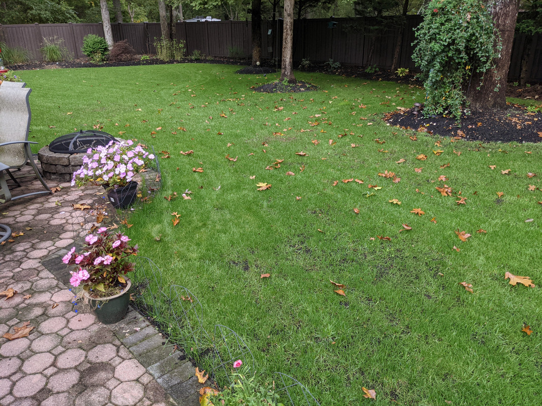 PXL_20211009_165804445.MP