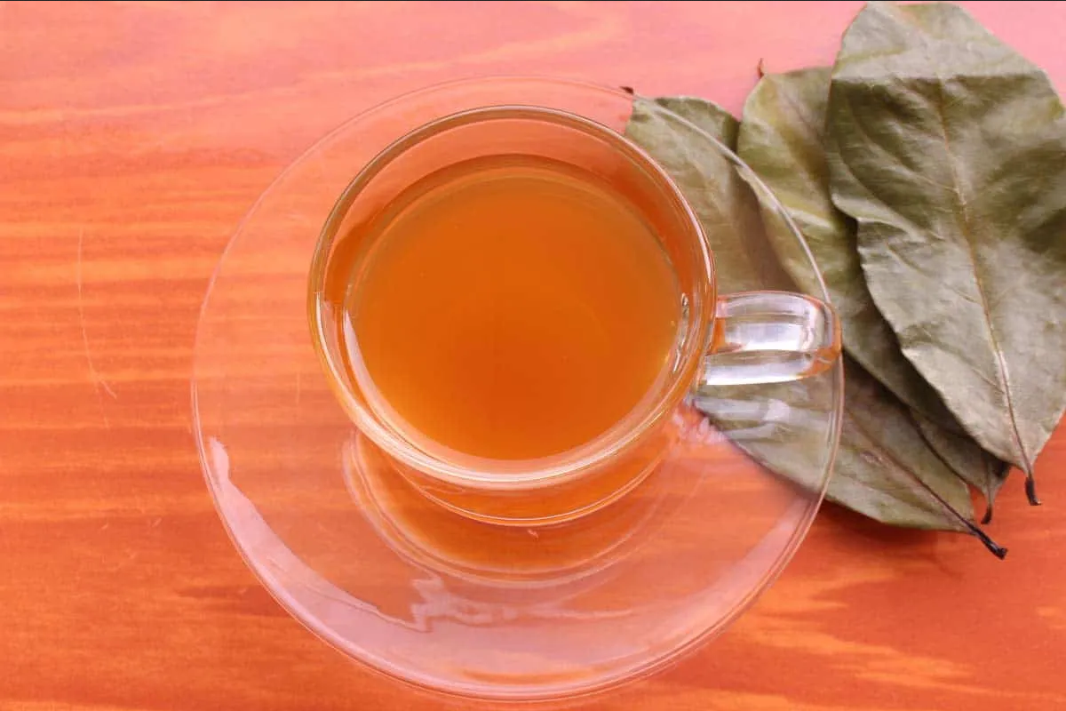 ¿Cómo combatir la diabetes y los parásitos intestinales con hojas de guanábana?