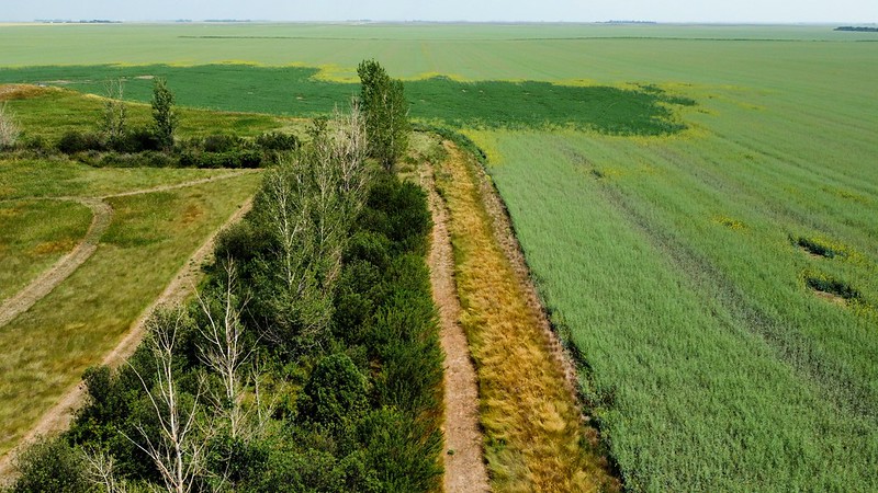 Why Environmental Concerns Are More Important Than Ever