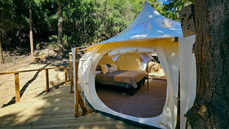 Domo de Glamping Matanzas con cama y terraza de madera