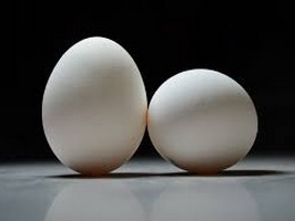 Почему куры несут более крупные яйца зимой, а не летом?