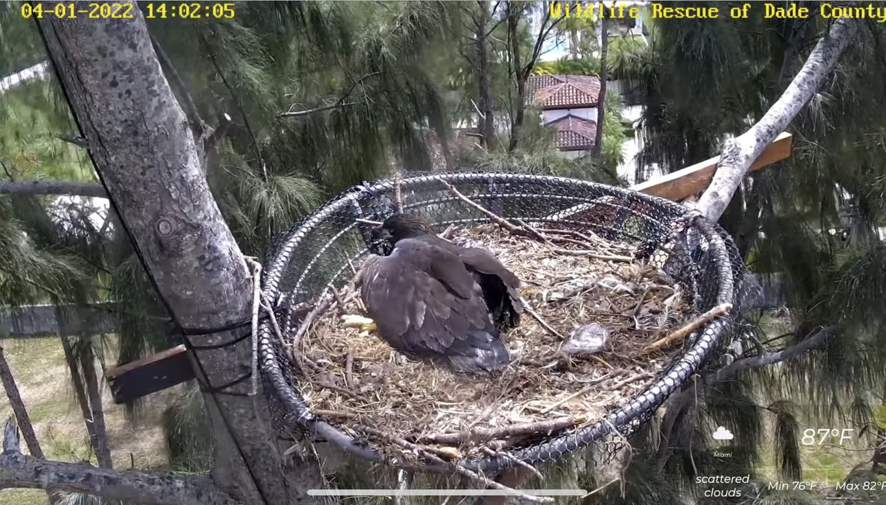 ACC838D5-3FBD-4476-B353-4CC5B07E16BB