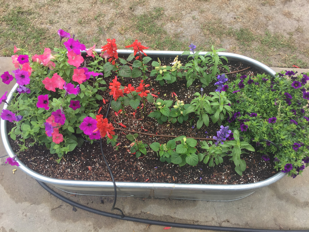 8E371A3E-0135-4A62-B397-FE2F0C69683C