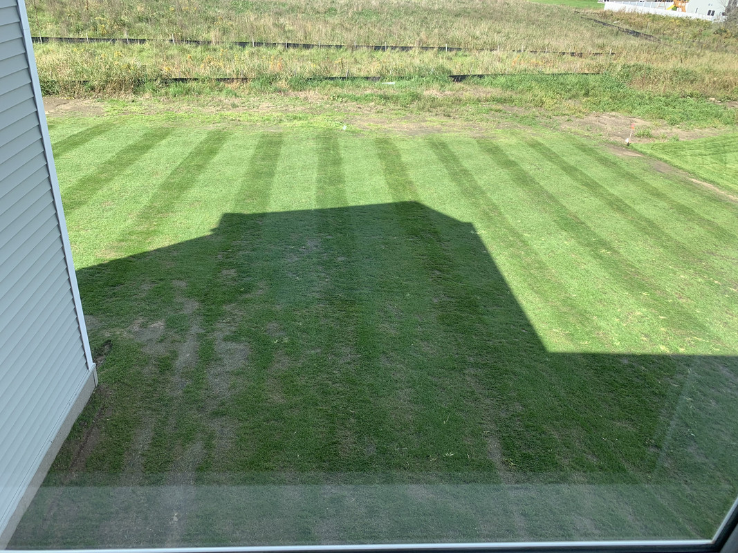 BE9B87A1-13A5-4812-934E-3B61A54FD1DC