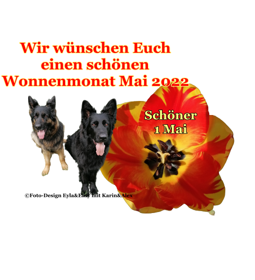 An den Beitrag angehängtes Bild: https://i.postimg.cc/yxB9Mkgh/GB-Wonnemonat-zum-1-Mai.png