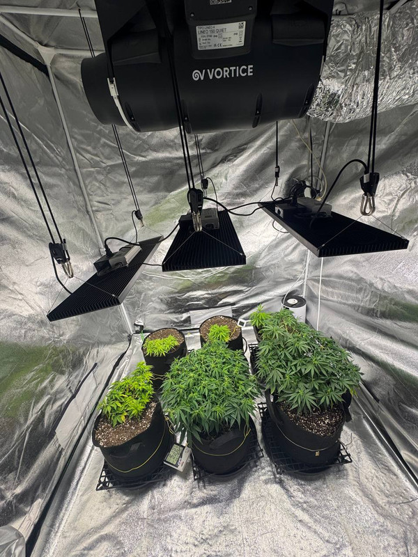 photo 2026 02 12 00 48 34