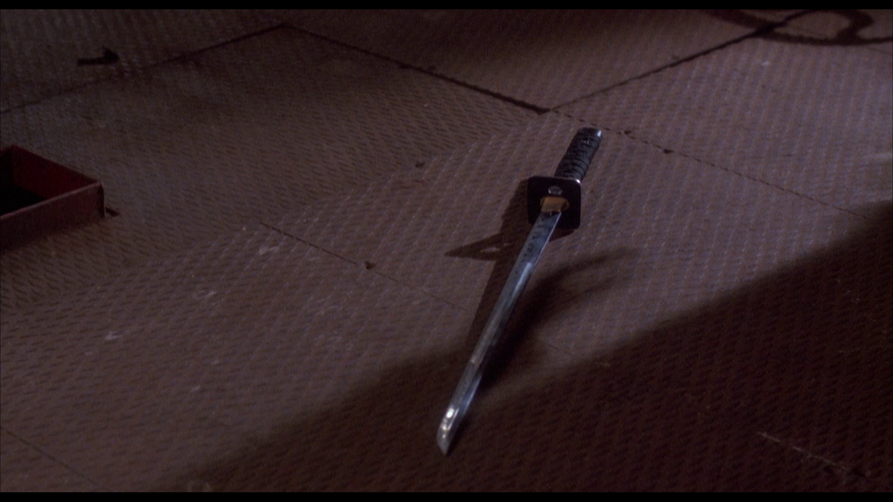 vlcsnap-2024-02-03-16h18m35s411