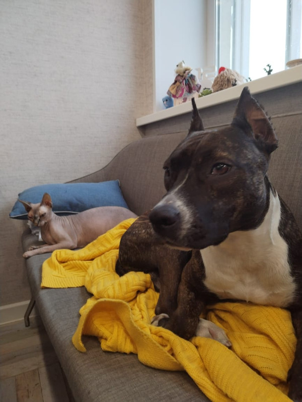 EF853657-527D-4887-9E06-AAE2E17B2680