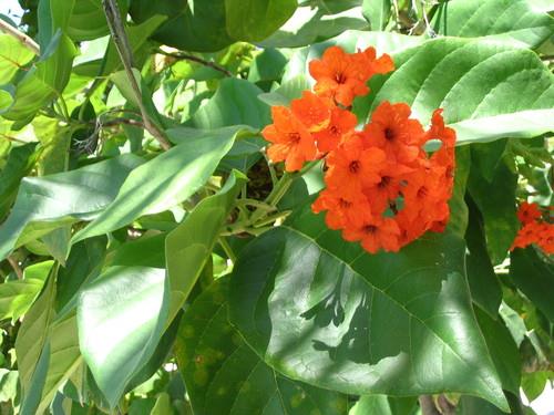 10346837_598235143624768_978156722_n