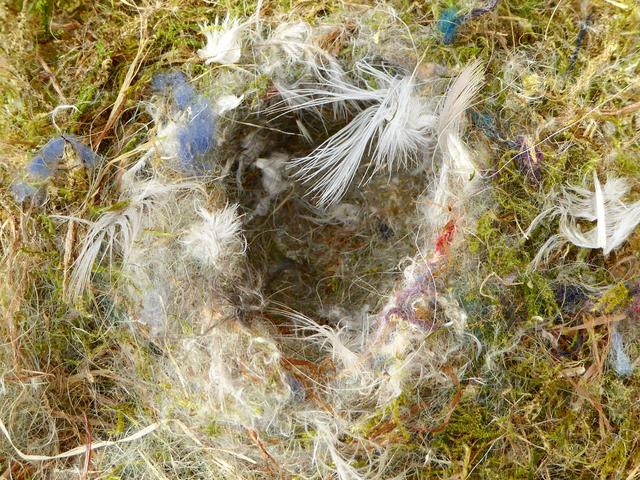 3F26A0C0-26EC-457A-B107-CFC9D8017528