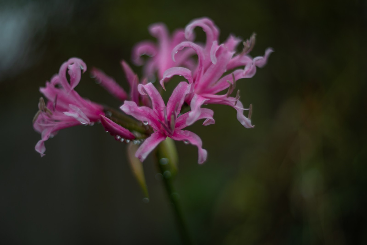 IMG-83f87b9557a5c473134c0ab33f5a6931-V