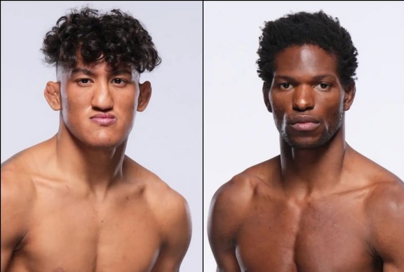 Раул Росас срещу Терънс Мичъл на UFC Fight Night 225