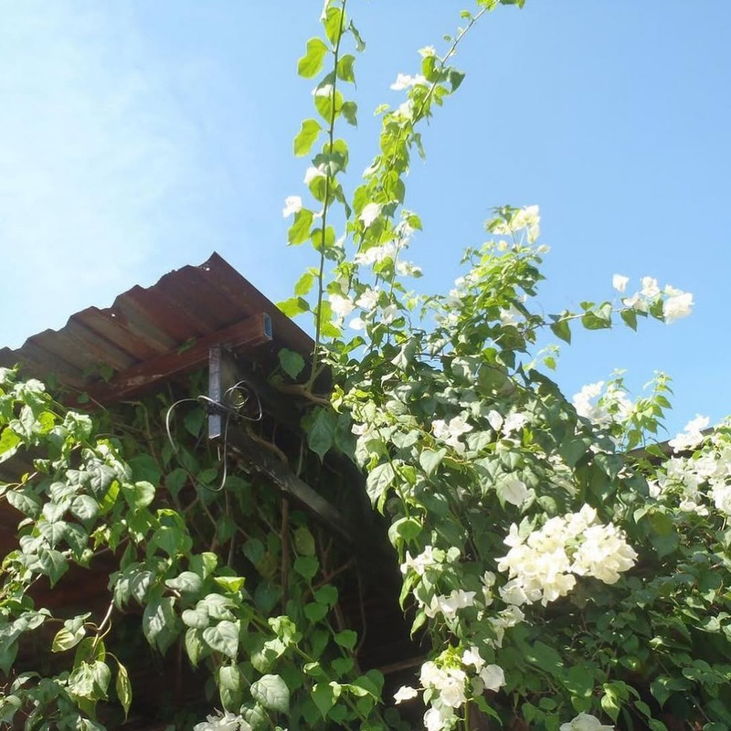 photo 24 2026 01 03 21 22 22