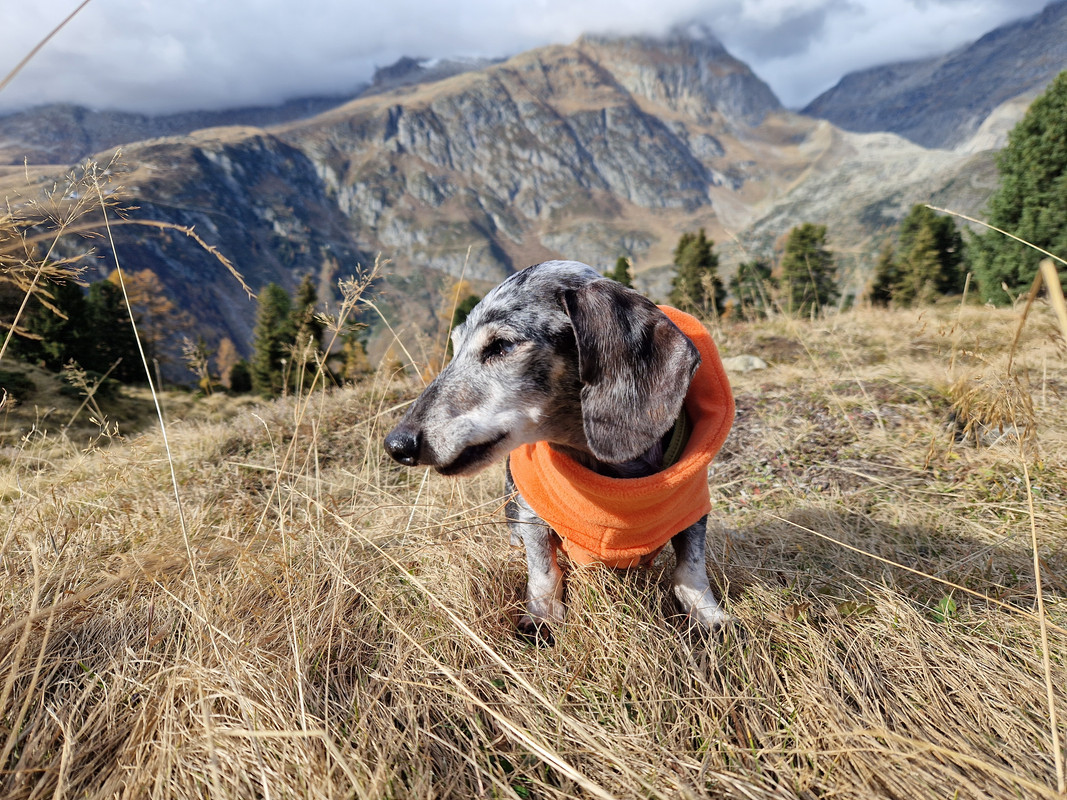 [Image: 20241027-131216.jpg]