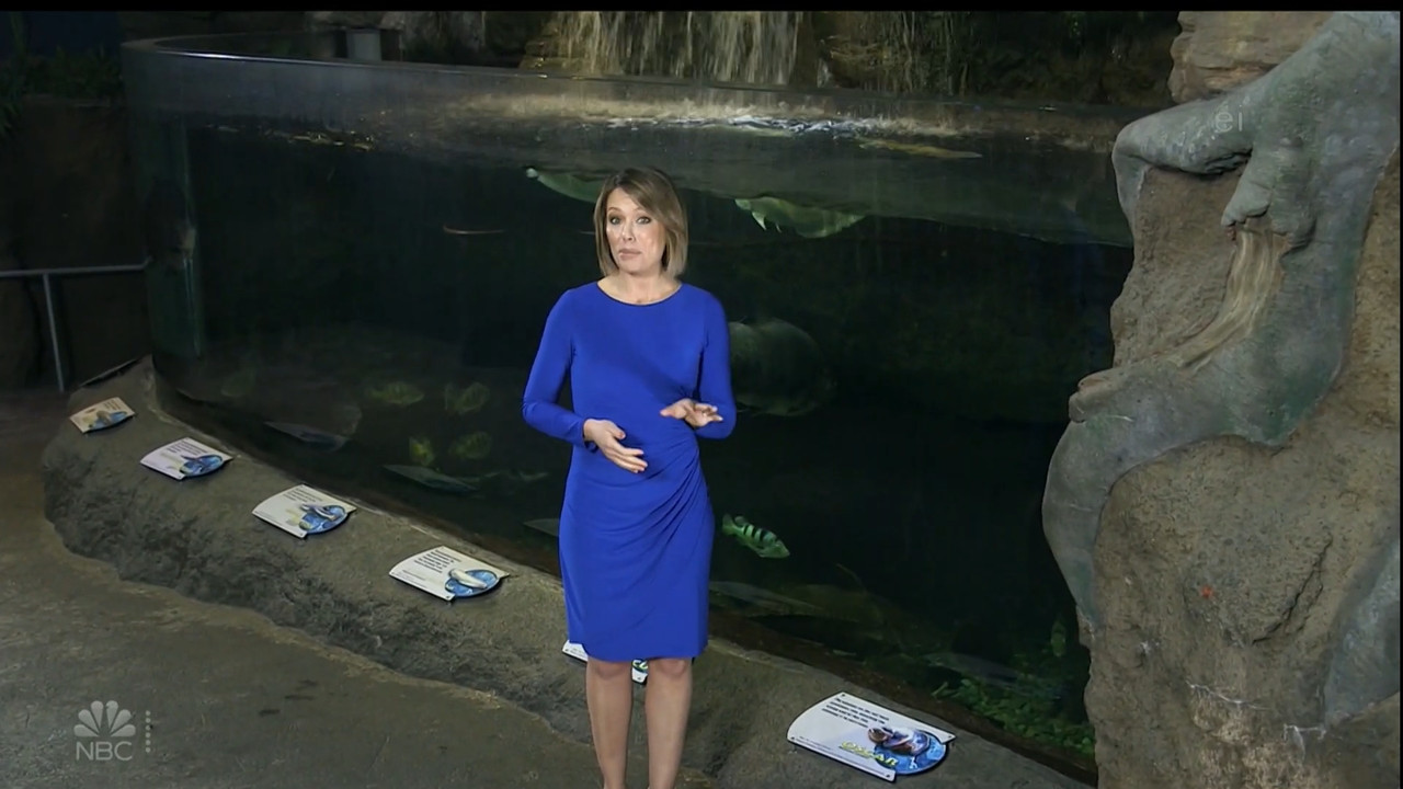 11.07 - 15.00.00 - Earth Odyssey With Dylan Dreyer. The world's smart....ts_snapshot_00.14.47.412