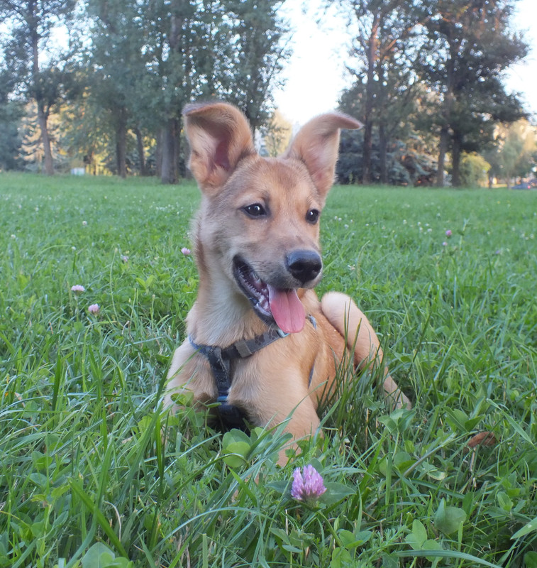 DSCF9358 — копия