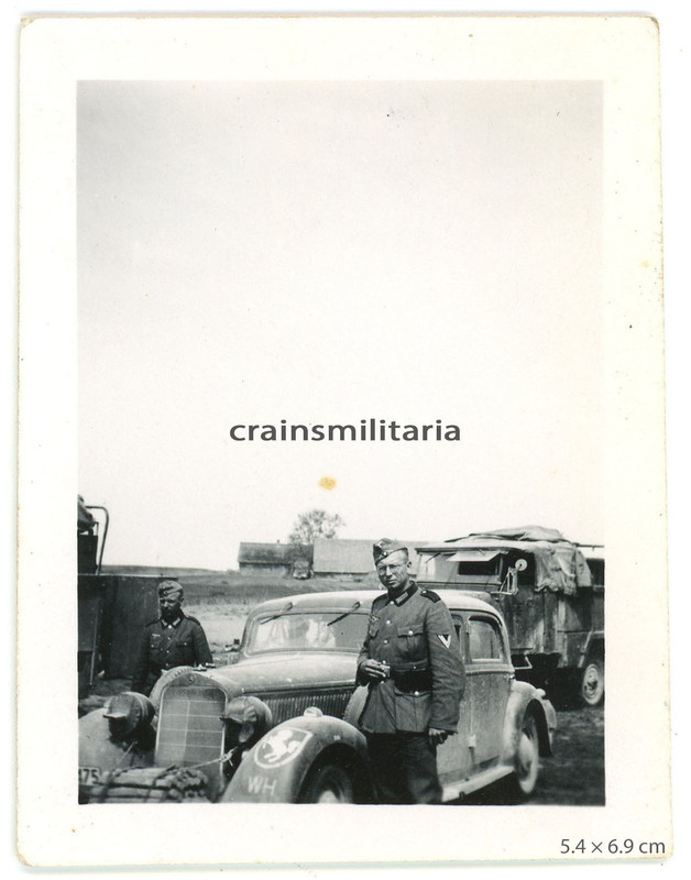 Orig Foto Mercedes Benz Pkw mit Pferd Wappen des V Armeekorps in Russland 1941