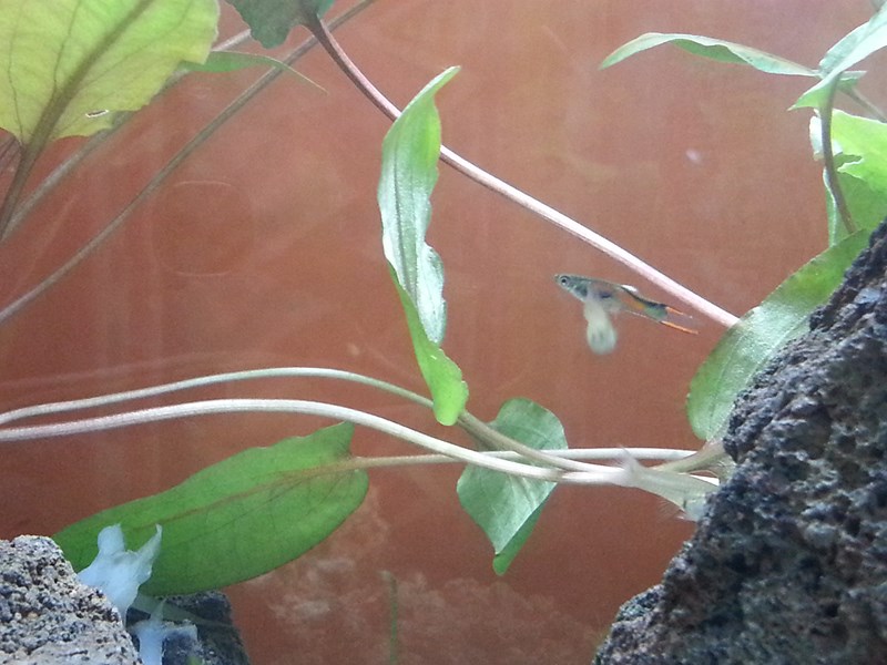 20130918_193109 (Copia)