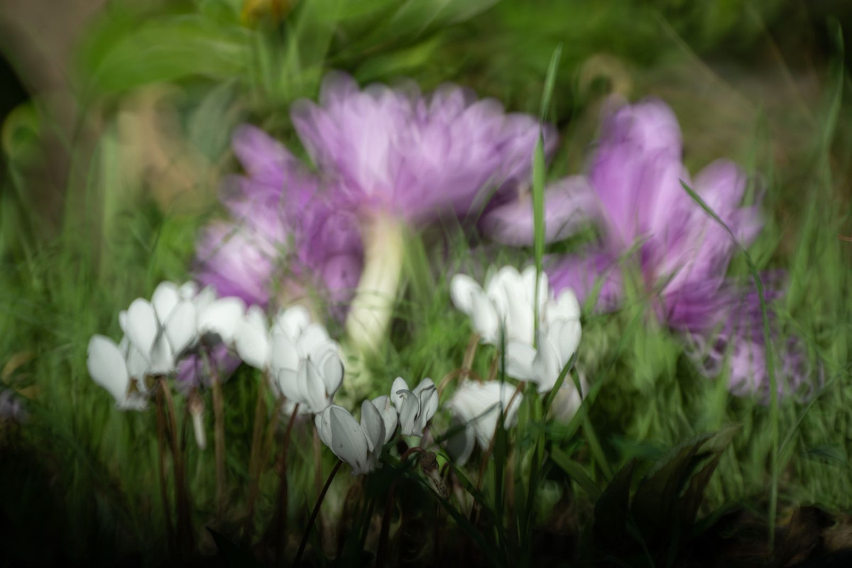 IMG-f50c6c176518567ca32aab6ce060acc8-V