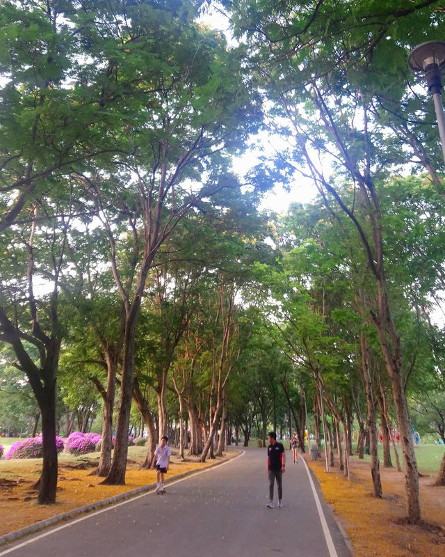 Suan Rot Fai
