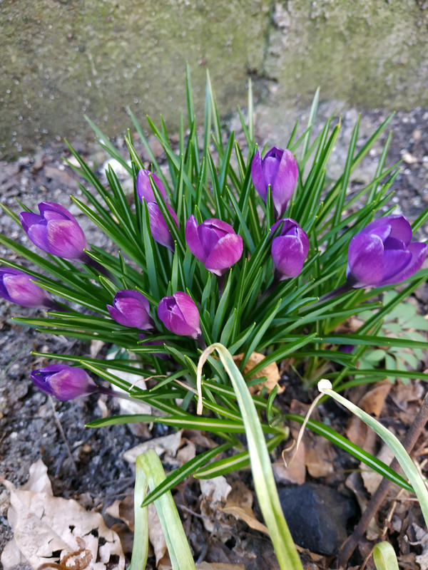 IMG_20190304_165148