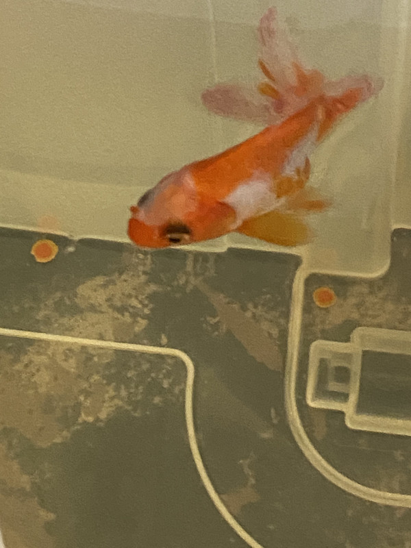 48A6872F-AF43-48ED-8531-7DC0BE479CD9