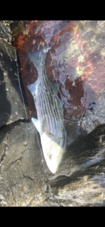 89686041-3010-4BA6-9E5B-EA19DBC182B2