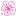 pink flower