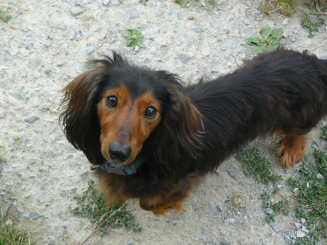 [Image: P1240393.jpg]