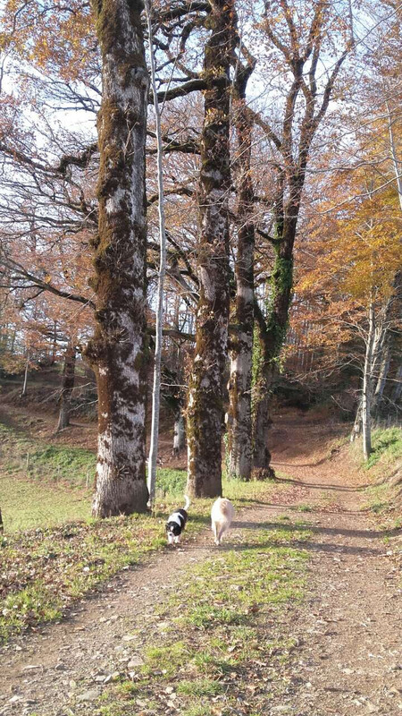 BACF5864-D131-43C6-95FC-9F5EF95FF031