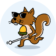 blind squirrel