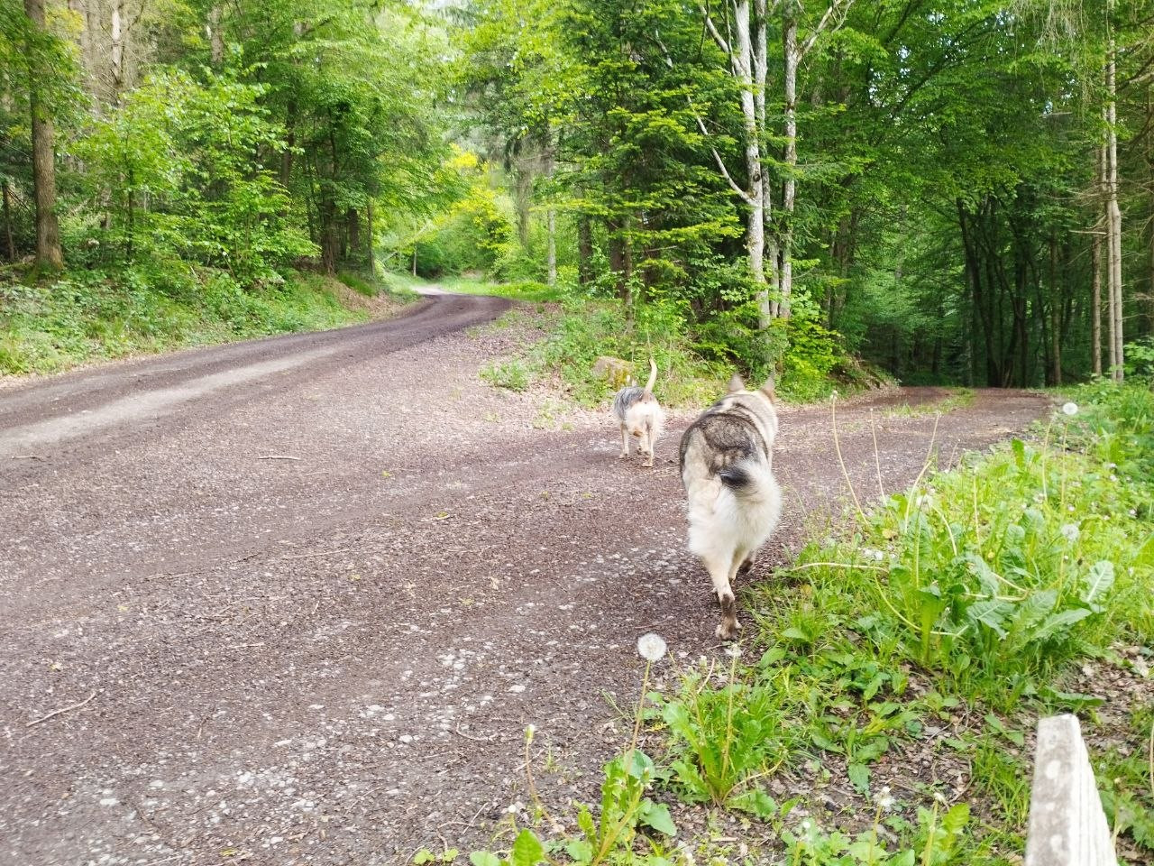 photo 2026 05 15 18 20 19