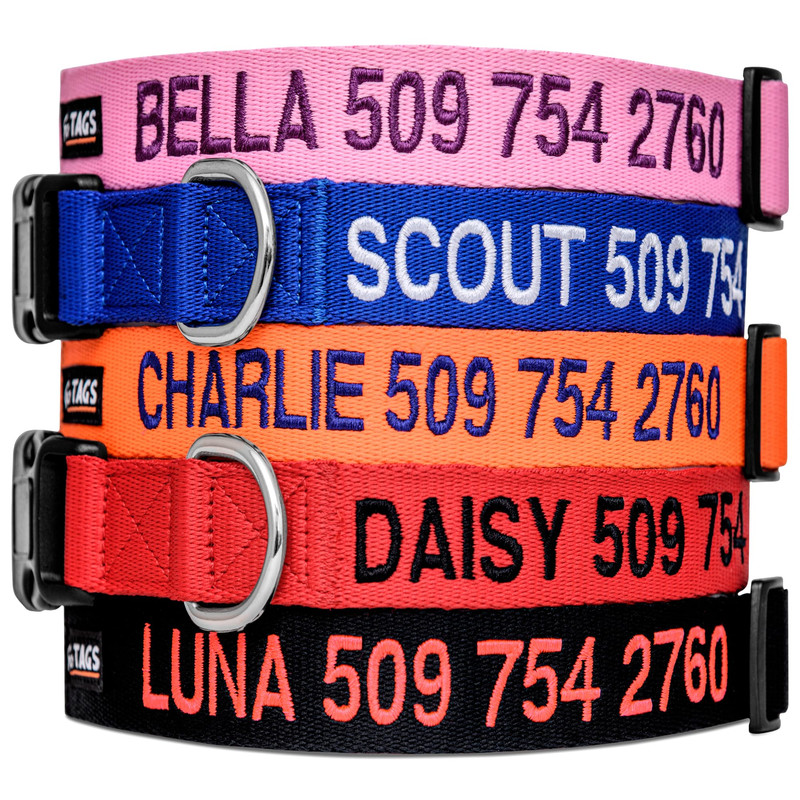 GoTags Personalized Dog Collar with Name & Phone
