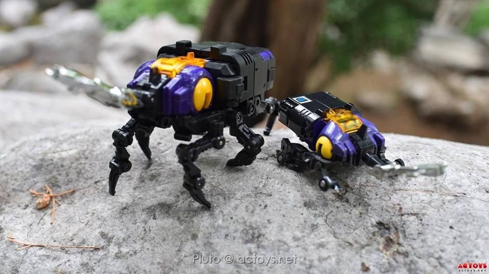 11221281_870623946357349_6838403397712047243_n