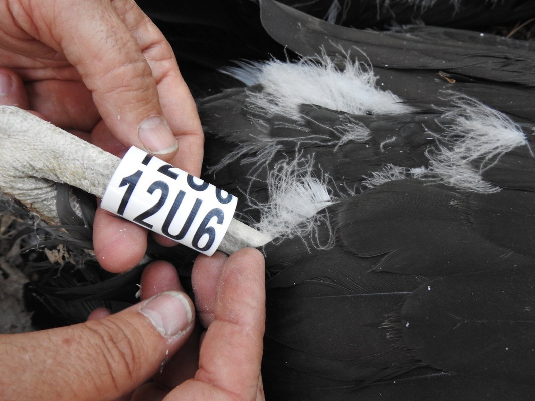 BODZIO 12U6 299026443_1510701999349672_4368314300631429161_n