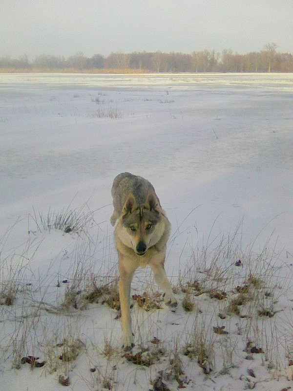 14) 21.1. Márinka u zamrzlé velelouže v Přerově u lesejka