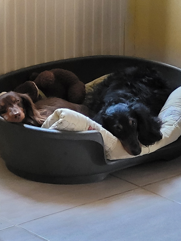 [Image: 20250222-172811.jpg]