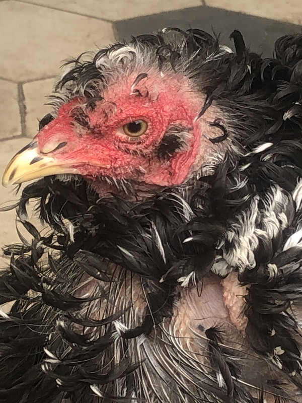 12E26AA2-95CA-4BA0-9801-0794992B7AA9