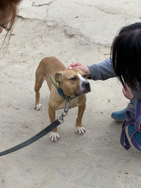 96764442-5981-4152-8703-F929051DF306