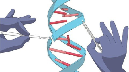 Basics of CRISPR Cas9 Technology