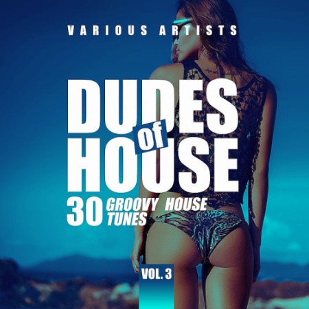 VA   Dudes Of House (30 Groovy House Tunes) Vol. 3 (2021)