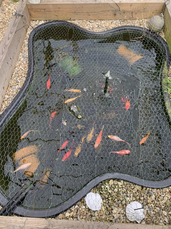 B3253754-7648-456E-A2E8-BE09A4B3BF95