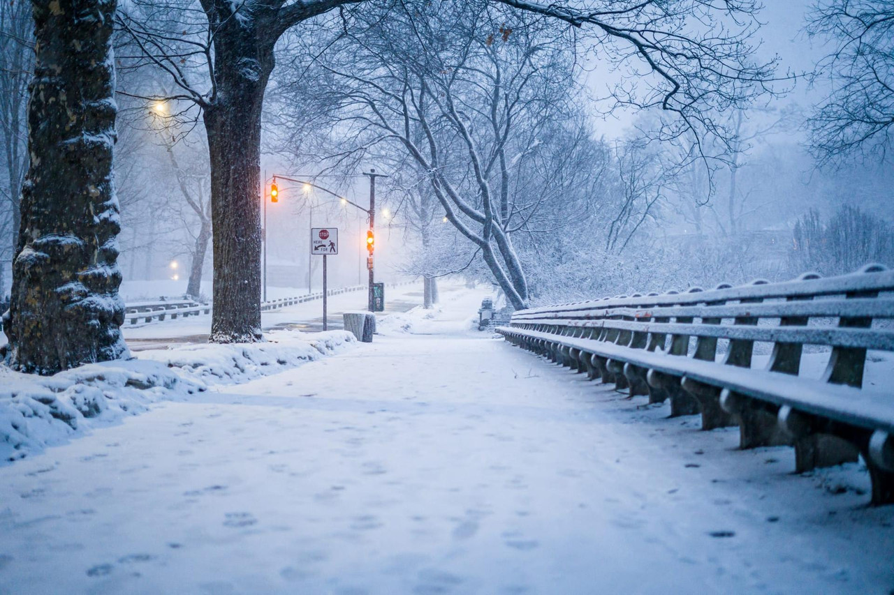 central park snow (6)